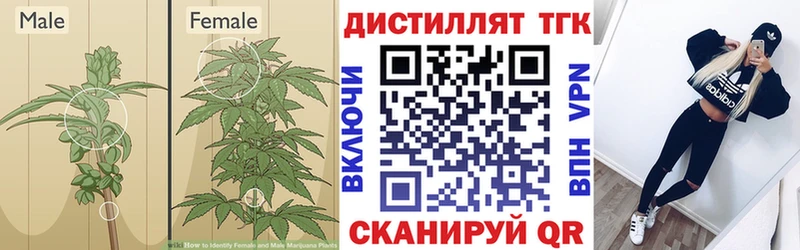 Дистиллят ТГК вейп Дзержинск