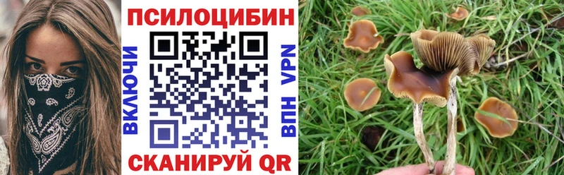 магазин продажи наркотиков  Дзержинск  Псилоцибиновые грибы прущие грибы 